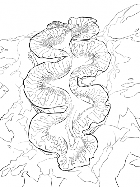 Giant Clam coloring page image