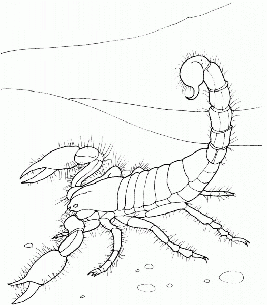Giant Desert Scorpion coloring page image