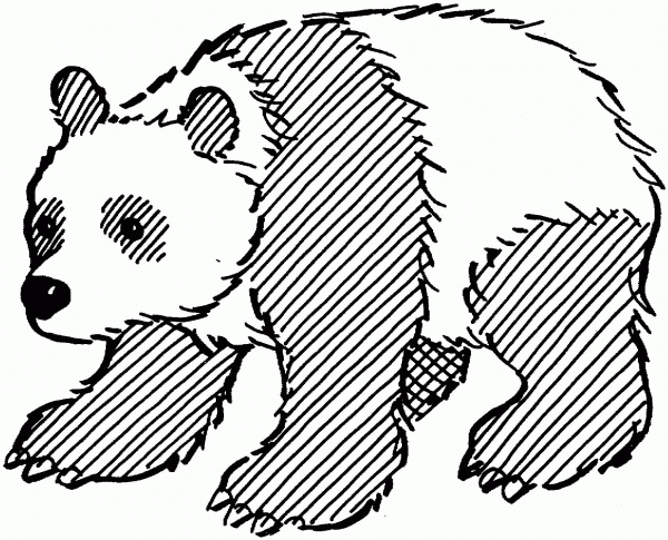 Giant Panda coloring page image
