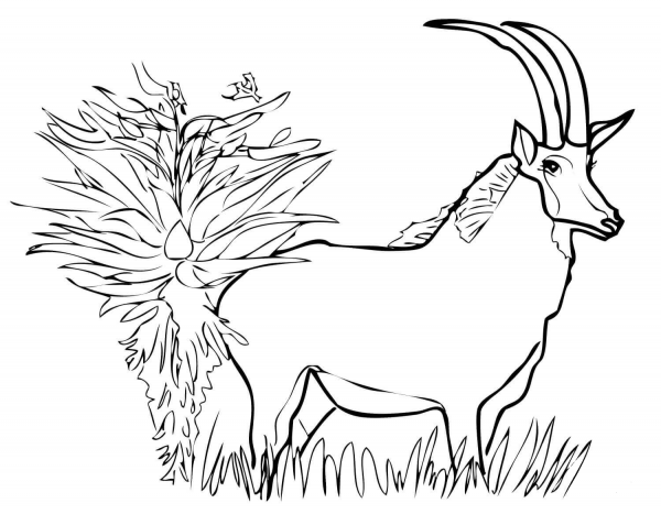 Giant Sable Antelope coloring page image