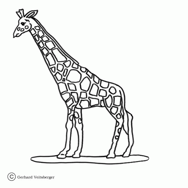 Giraffe coloring page image