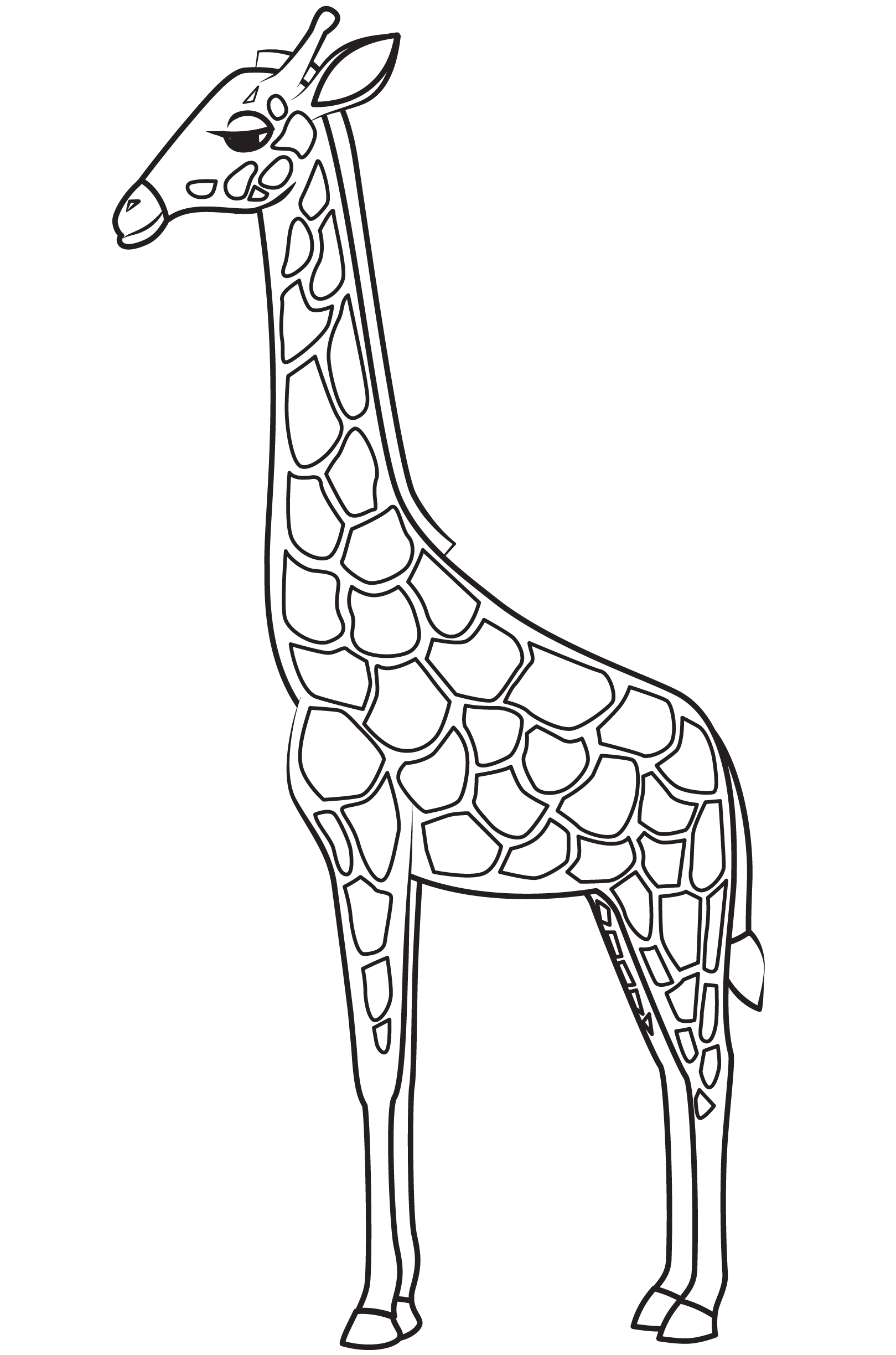 Giraffe coloring page - ColouringPages