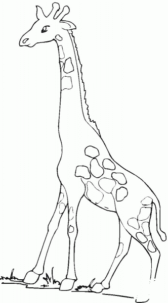Giraffe coloring page image