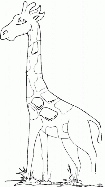 Giraffe coloring page image