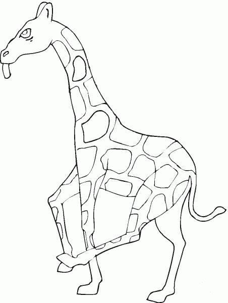 Giraffe coloring page image