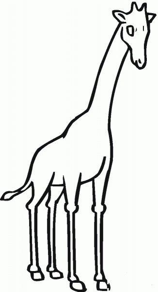 Giraffe coloring page image