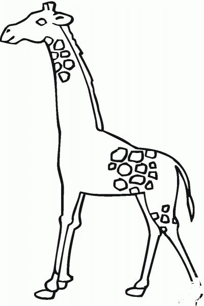 Giraffe coloring page image