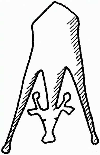 Giraffe coloring page image