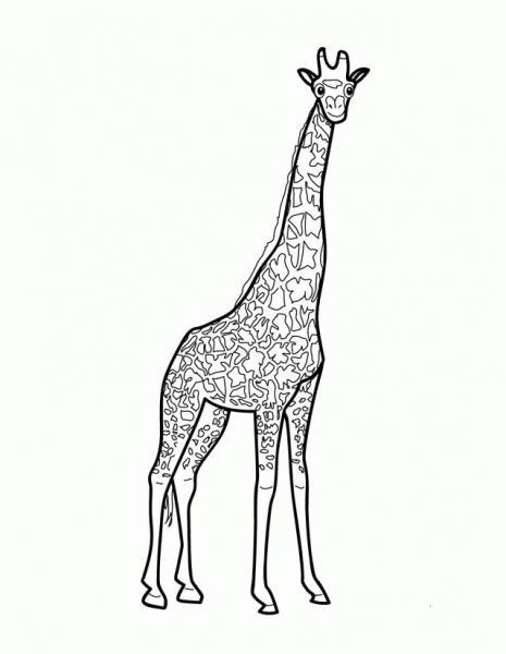 Giraffe coloring page image