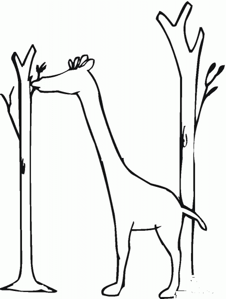 Giraffe coloring page image
