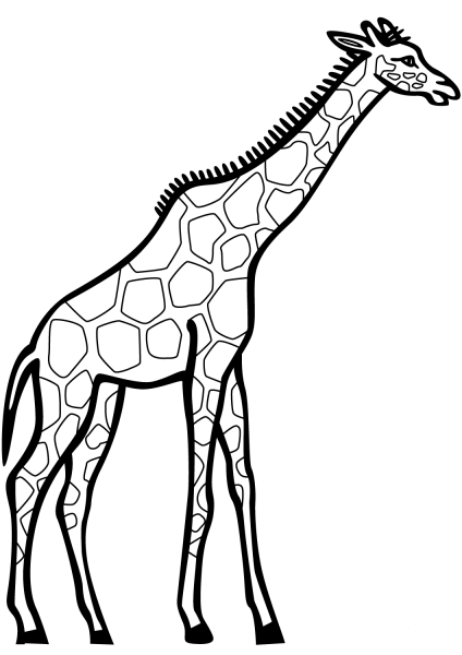 Giraffe coloring page image