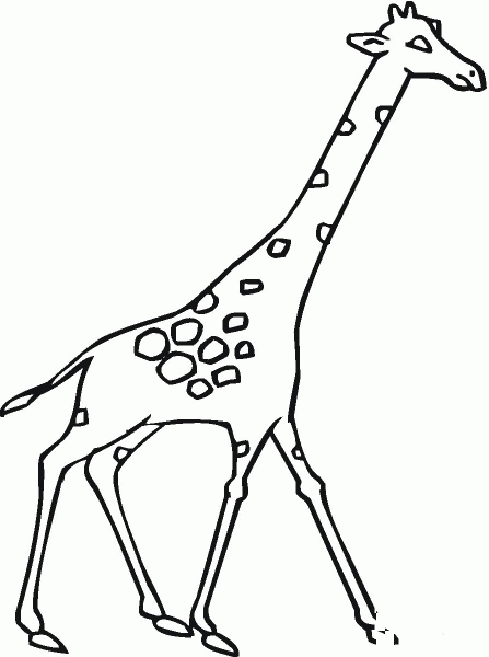 Giraffe coloring page image