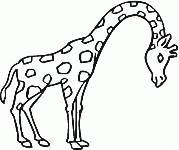Giraffe coloring page image