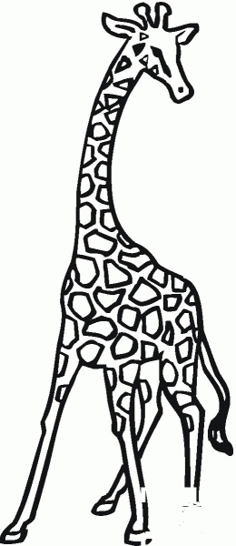 Giraffe coloring page image