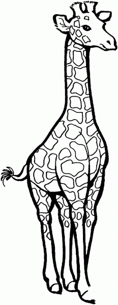 Giraffe coloring page image