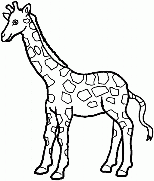 Giraffe coloring page image