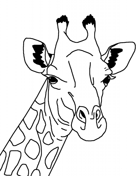Giraffe Face coloring page image