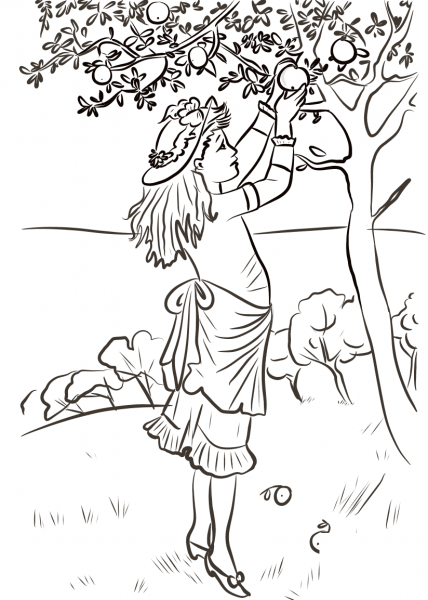 Girl Picking Apples coloring page image