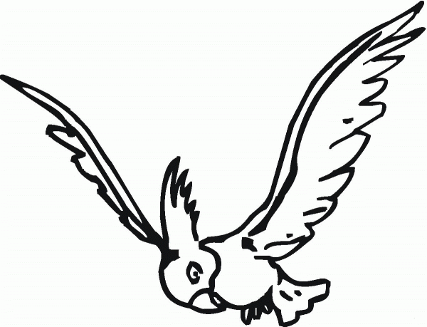 Goffin Cockatoo is Flying coloring page image