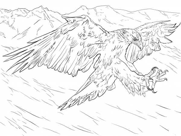 Golden Eagle Attacks coloring page image