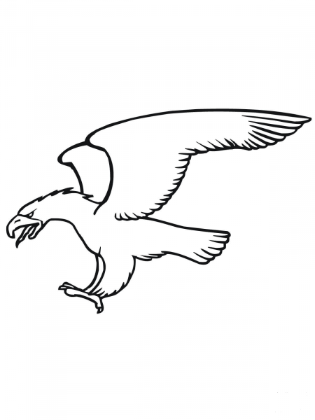 Golden Eagle Diving coloring page image
