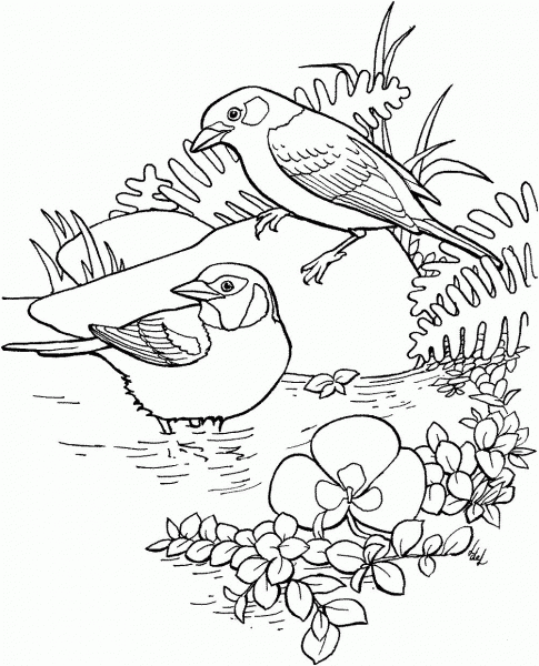 Golden Eared Tanager coloring page image