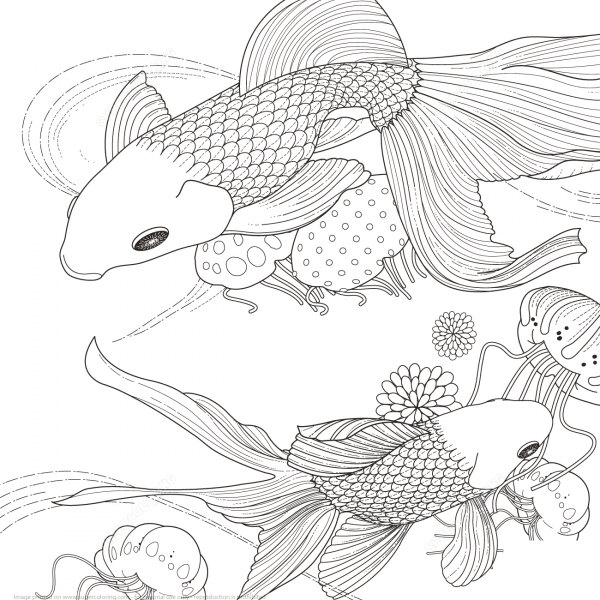 Golden Fish coloring page image