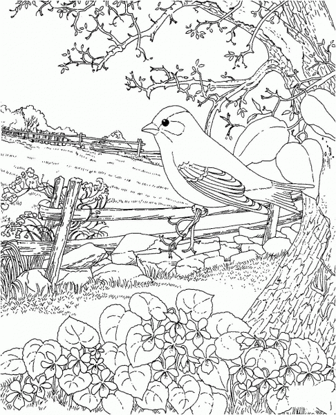 Goldfinch and Blue Violet New Jersey State Bird coloring page image