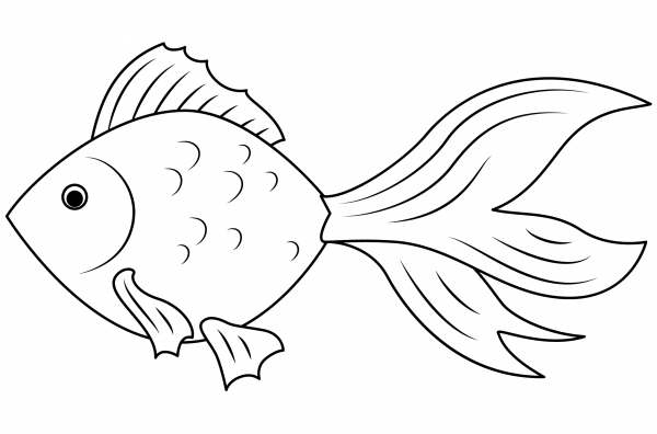 Goldfish coloring page image