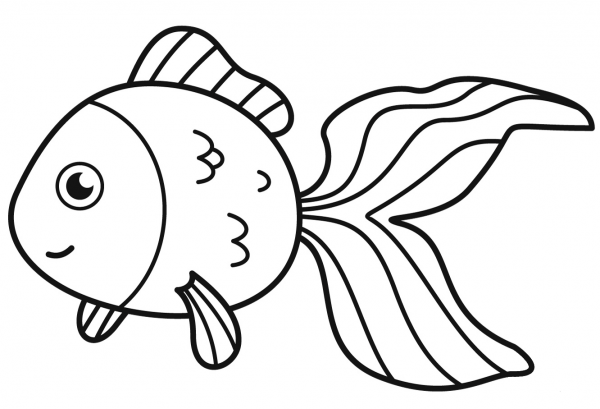Goldfish coloring page image