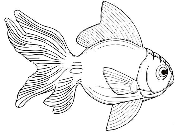 Goldfish coloring page image