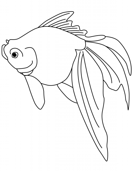 Goldfish coloring page image