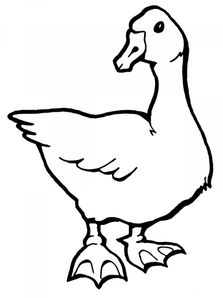 Goose coloring page image