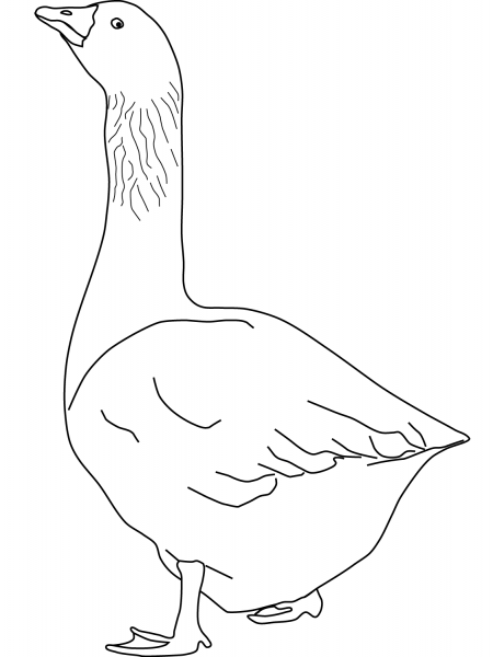 Goose coloring page image