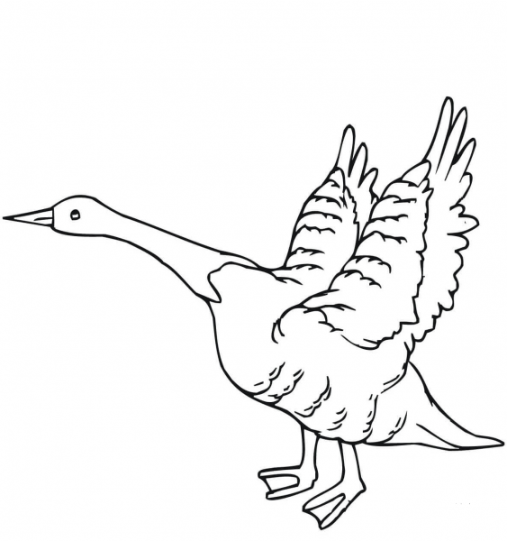 Goose Fly Away coloring page image