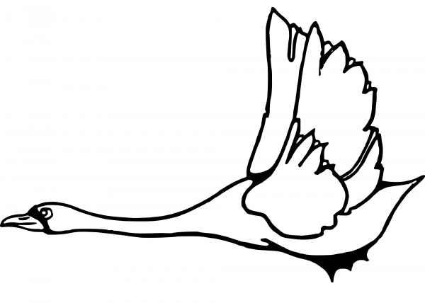 Goose in Flight coloring page image
