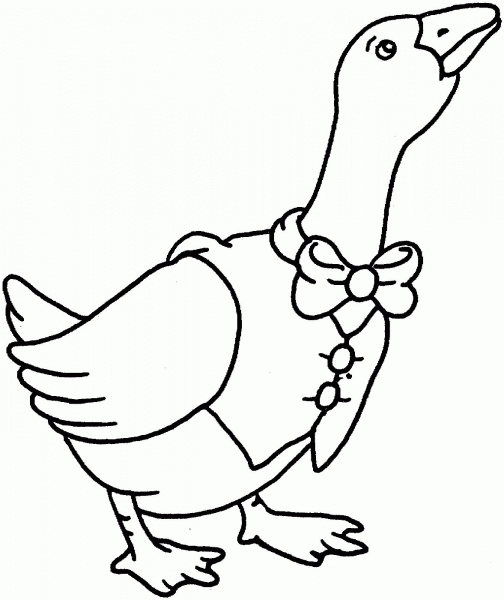 Goose with Clothes coloring page image
