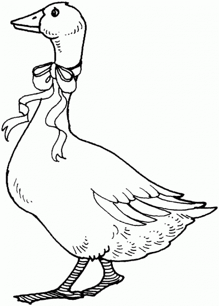 Goose With Ribbon coloring page image