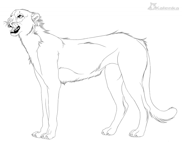Gorgeous Cheetah coloring page image