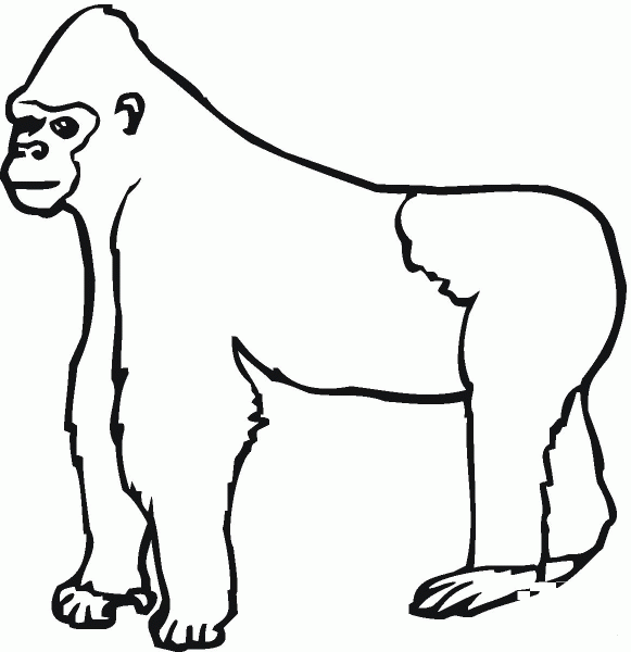Gorilla Ape coloring page image