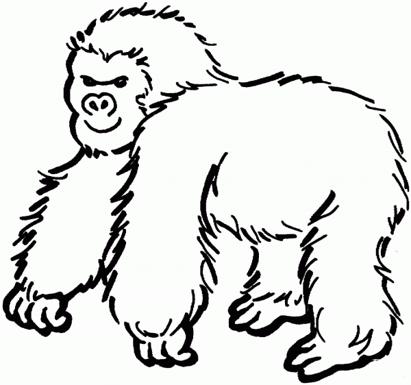 Gorilla coloring page image