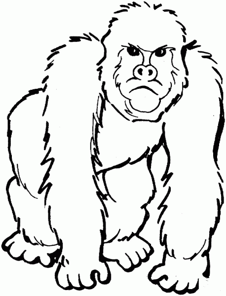 Gorilla coloring page image