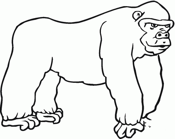 Gorilla coloring page image