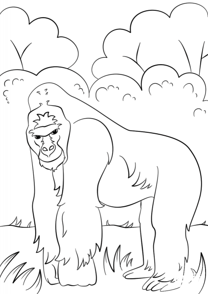 Gorilla coloring page image