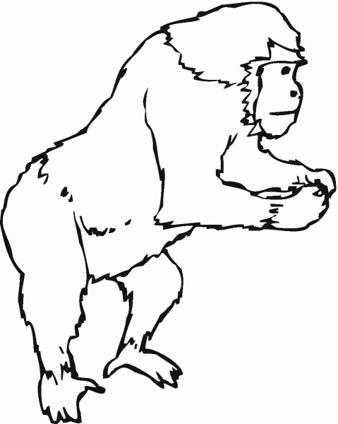 Gorilla coloring page image