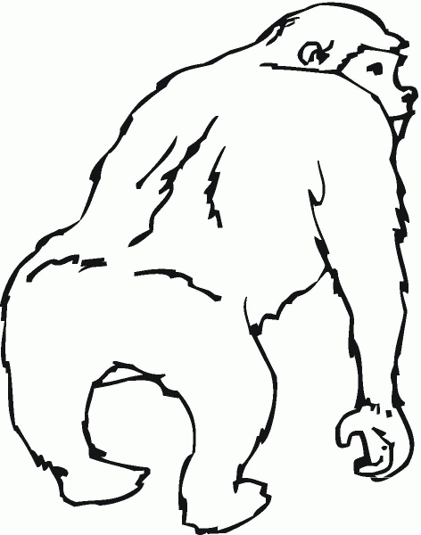 Gorilla coloring page image