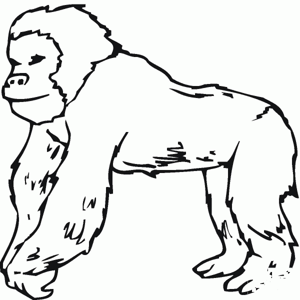 Gorilla coloring page image