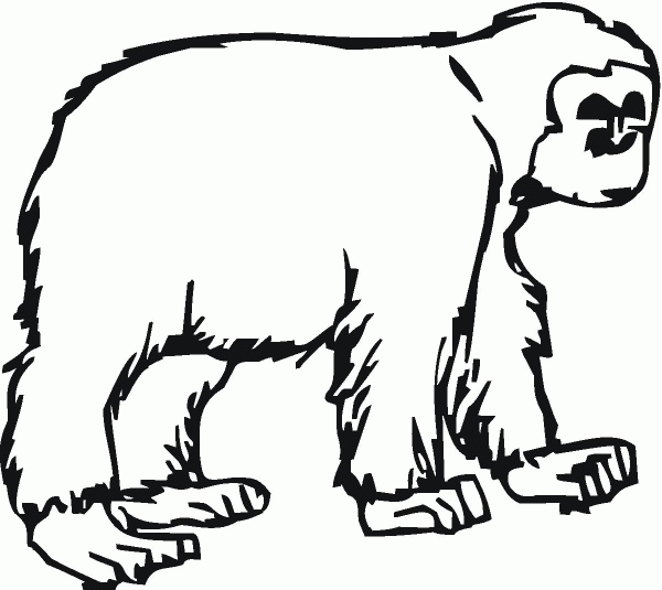 Gorilla coloring page image