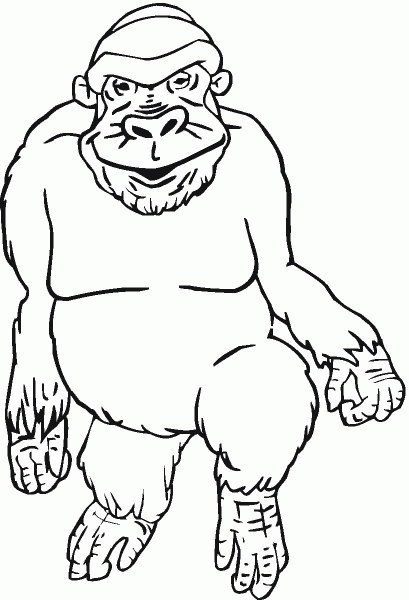 Gorilla coloring page image
