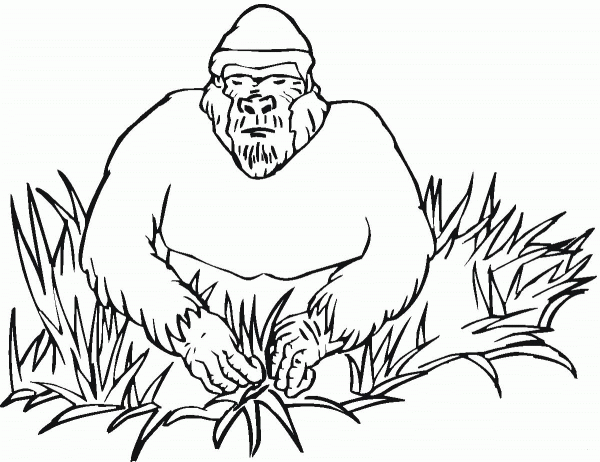 Gorilla In Grass coloring page image